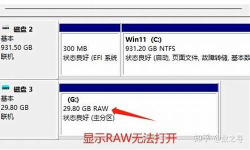 车载u盘raw格式_u盘raw是什么格式