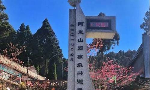 阿里山旅游攻略必玩的景点_阿里山旅游攻略必玩的景点有哪些