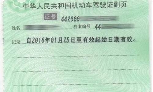 驾驶证号查询_驾驶证号查询违章查询