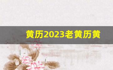 黄历2023老黄历黄道吉日查询(老黄历2023年黄道吉日)-第1张图片-个人技术分享