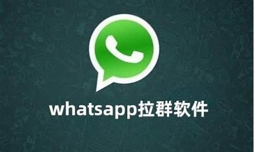 WhatsApp拉人进群组(whatsapp如何拉人进群)