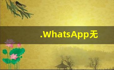 .WhatsApp无法连接注册