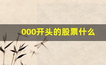 000开头的股票什么意思(000开头是什么股票代码)_https://www.heiljjianzu.com_科创板_第1张