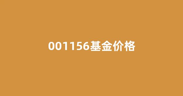 基金001156现在的价格是多少_001156基金价格