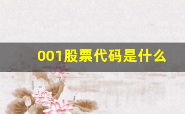 001股票代码是什么意思(001股票代码是什么意思)_https://www.kairu168.com_大商所_第1张