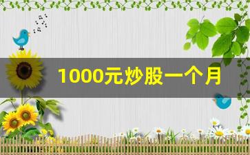 1000元炒股一个月能赚多少钱(1000元炒股能赚十万吗)_https://www.gzyhshgzzx.com_大商所_第1张