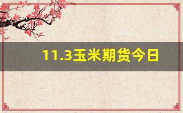 11.3玉米期货今日行情(玉米期货今天价格)_https://www.haiwangdasha.com_上期能源_第1张