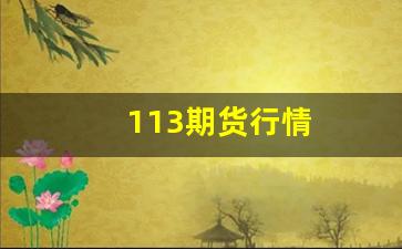 113期货行情(期货最新动态)_https://www.wanyuyiyao.com_上交所_第1张