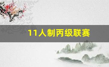 11人制比赛场地长多少宽多少-11人制丙级联赛