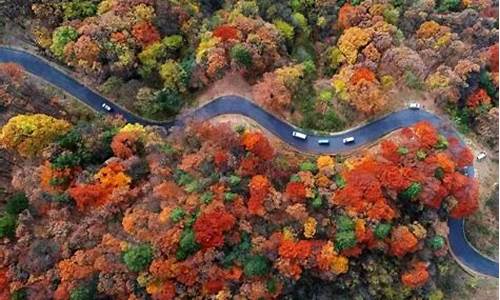 11月适合旅游的地方有哪些_11月适合去旅游的地方