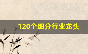 120个细分行业龙头企业(各细分行业龙头的市场份额)_https://www.dcjwmf.com_郑商所_第1张