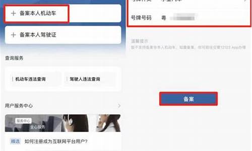 12123直接输入车牌号_12123直接输入车牌号查电话