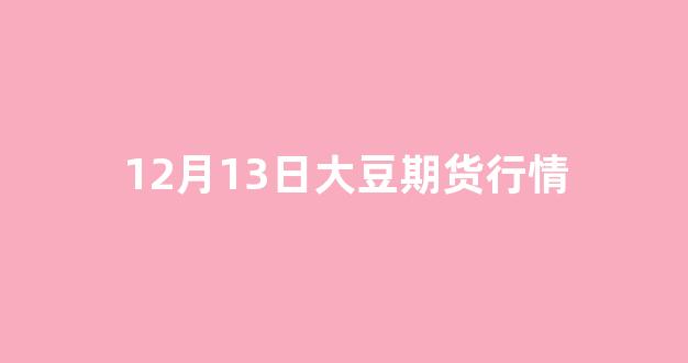 12月13日大豆期货行情(12月13日大豆期货行情分析)_https://www.jnskb.com_效果图_第1张