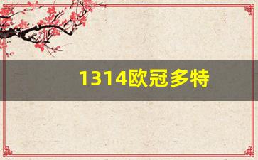 1314欧冠多特-欧冠 多特