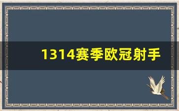 1314赛季欧冠射手-2021-2022欧冠射手榜