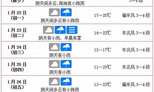 14年春节海口天气_2020年海口天气记录