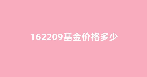 162201基金_162209基金价格多少