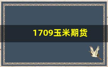 1709玉米期货(玉米期货2101)_https://www.gfdzclz.com_上交所_第1张