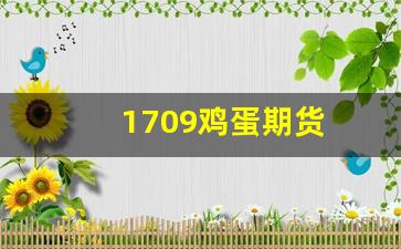 1709鸡蛋期货(2107鸡蛋期货行情)_https://www.wguangz.com_大商所_第1张
