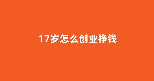 17岁怎么创业挣钱