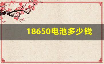 18650电池多少钱一节(18650电池型号容量对照表)_https://www.wanyuyiyao.com_深交所_第1张