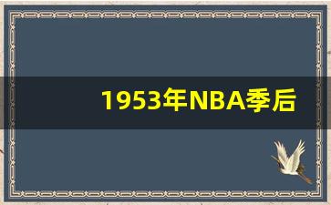 nba季后赛2013-1953年NBA季后赛