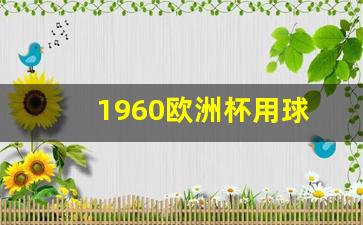 一六年欧洲杯-1960欧洲杯用球