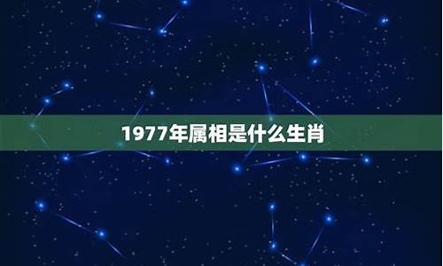 1977年属相(1977年属蛇的五行)-第1张图片-穷追资讯