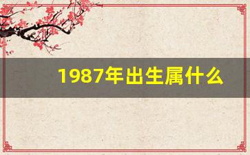 1987年出生属什么(1987年属什么生肖)-第1张图片-个人技术分享