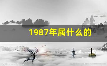 1987年属什么的(几岁)-第1张图片-个人技术分享