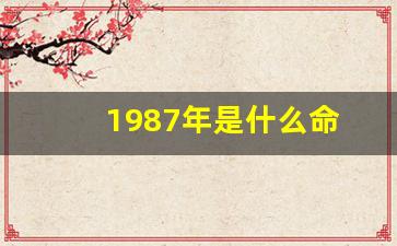 1987年是什么命(1987年农历6月29日是什么命)-第1张图片-闻话人