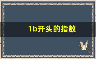 1b开头的指数(指数bk开头是什么意思)_https://www.wguangz.com_郑商所_第1张