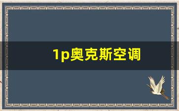1p奥克斯空调-奥克斯1匹空调