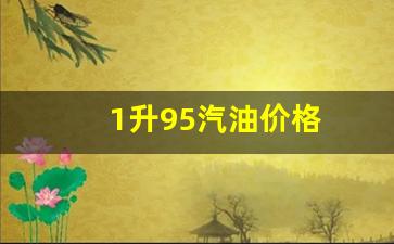 汽油95一升多少钱_1升95汽油价格