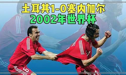 2002世界杯土耳其vs中国_2002世界杯土耳其