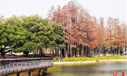 深圳冬天天气最低温度_2002深圳冬天天气