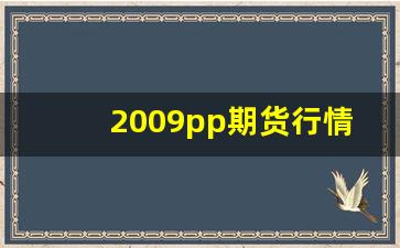 2009pp期货行情(i2009期货)_https://www.senxinmaoyi.com_邮政编码_第1张