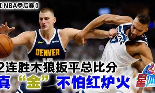 2013nba季后赛掘金对勇士_2013年掘金队阵容