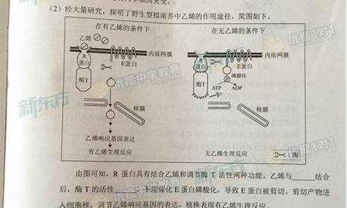 2016北京高考理综分数是多少-2016北京高考理综分数