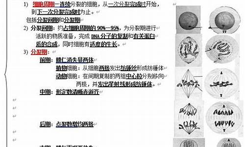 2017高考生物全国二卷答案及解析_2017小高考生物