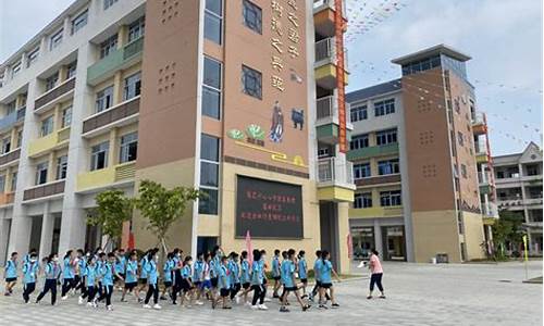 2017肇庆市小学篮球赛结果_2017肇庆市小学篮球赛