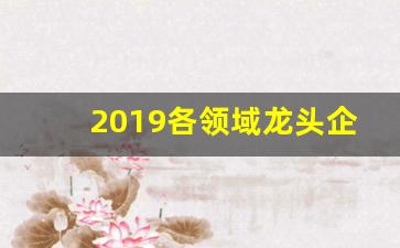 2019各领域龙头企业股票代码(2021各大龙头股票)_https://www.nalian8.com_上交所_第1张