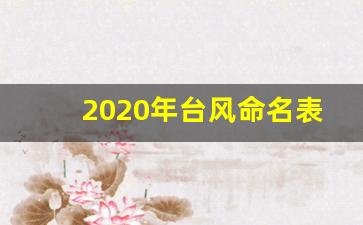 2020年台风命名列表_2020年台风命名表