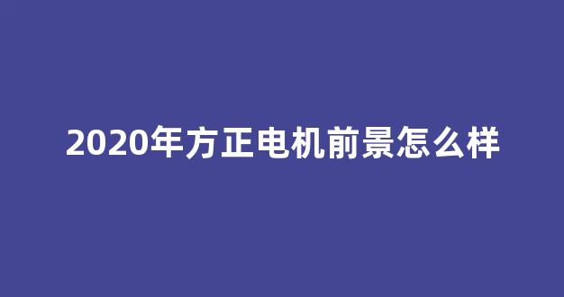 2020年方正电机前景怎么样(方正电机新消息)_上交所_第1张_财经网 2020年方正电机前景怎么样(方正电机新消息)_https://www.nalian8.com_上交所_第1张