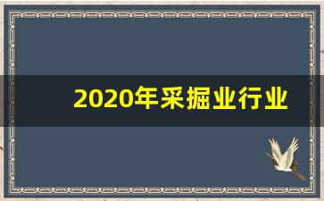 2020年采掘业行业分析图_https://www.jumanxin.com_深交所_第1张