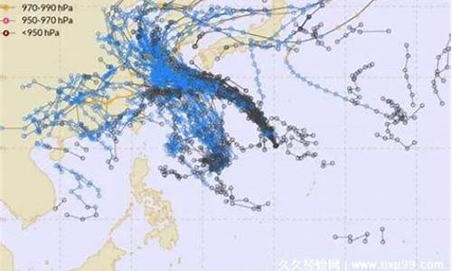 2021年台风实时预报_2021年台风一