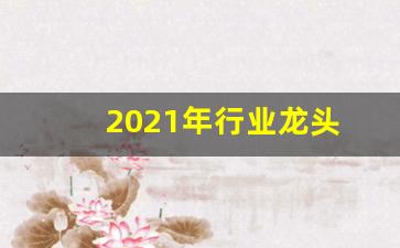 2021年行业龙头(2020行业龙头)_https://www.hangfeite.com_深交所_第1张