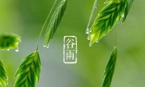 2021年谷雨开封天气情况_2021年谷雨开封天气