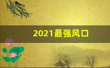 2021最强风口(2021年最大的风口)_https://www.syklpowerbike.com_北交所_第1张