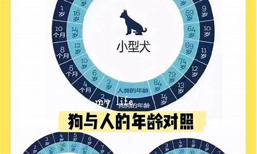 2021生肖年龄查询表_2021生肖年龄表格